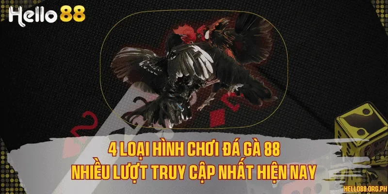 4 loại hình chơi đá gà 88 nhiều lượt truy cập nhất hiện nay