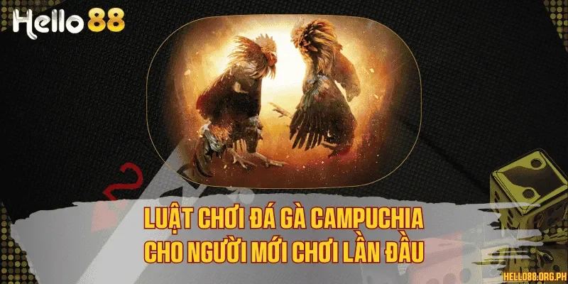Luật chơi đá gà Campuchia cho người mới chơi lần đầu