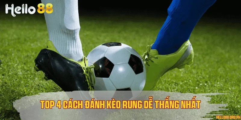 Top 4 cách đánh kèo rung dễ thắng nhất