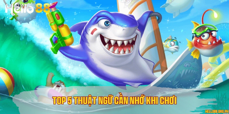 Top 5 thuật ngữ cần nhớ khi chơi